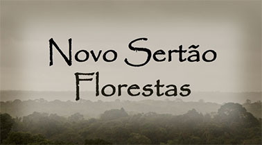Henrique Engenharia Florestal EIRELI - ME